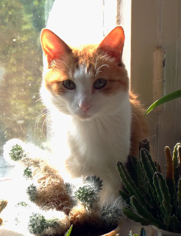 Photo #14057291