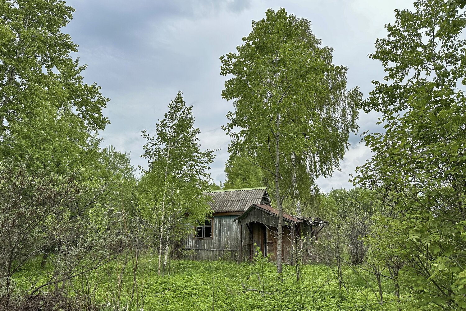Photo #14057366