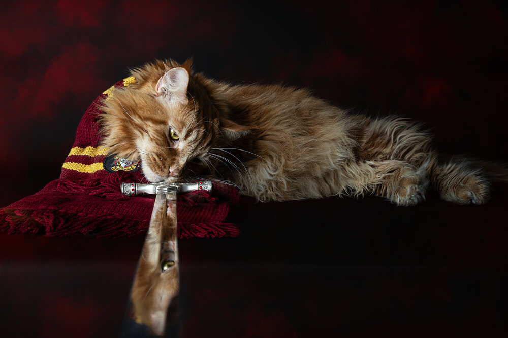 Photograph by Coralie JACQUES