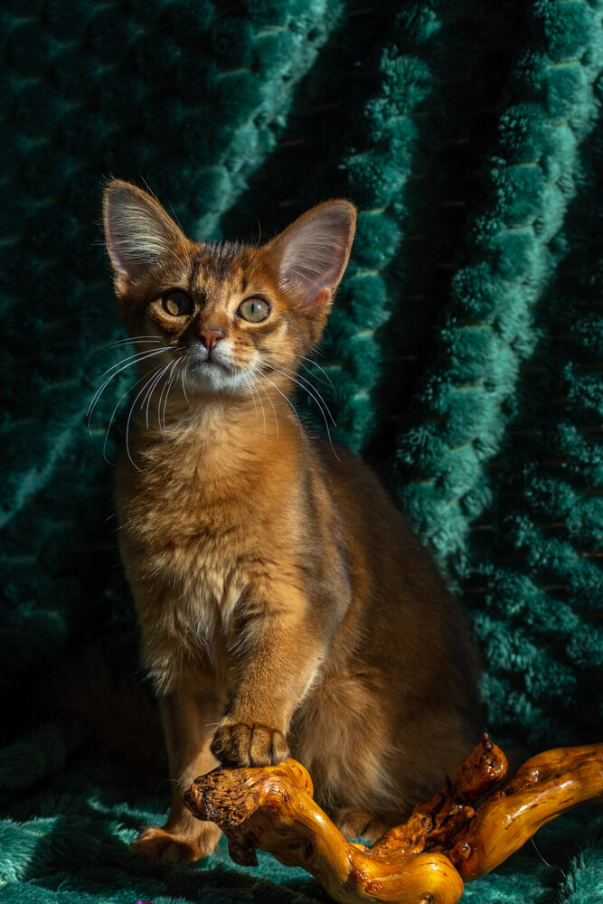 Photograph by Ольга Салтыкова