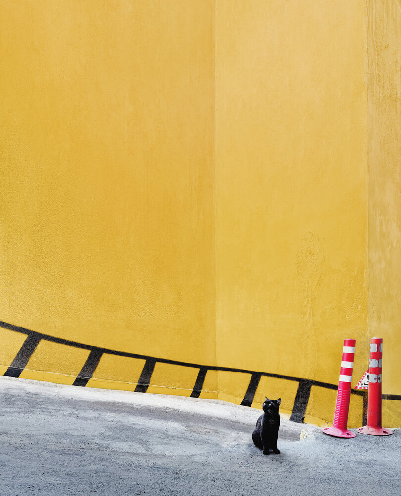 Photograph by Amin Sarlak