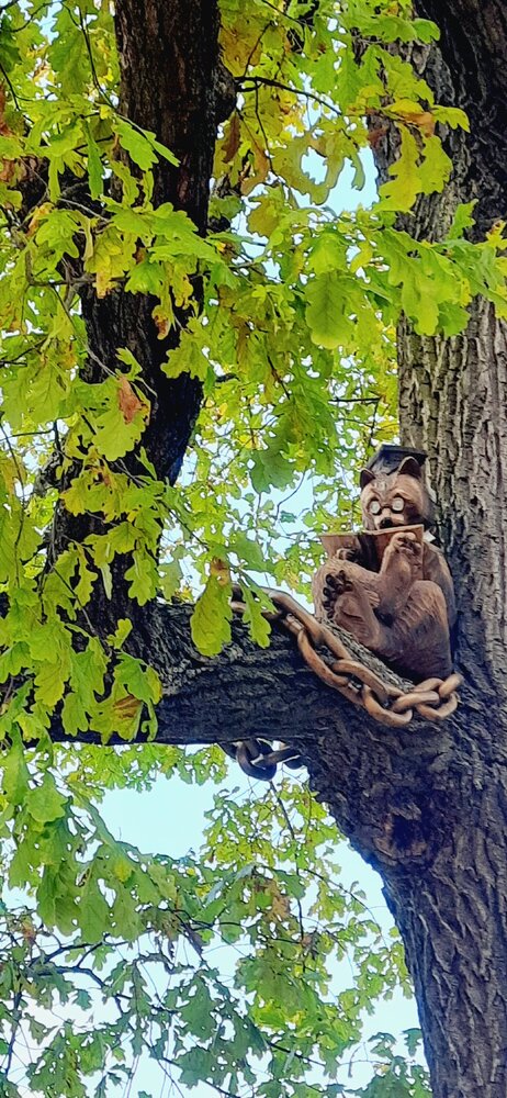 Златая цепь на дубе том.  Кот ученый...