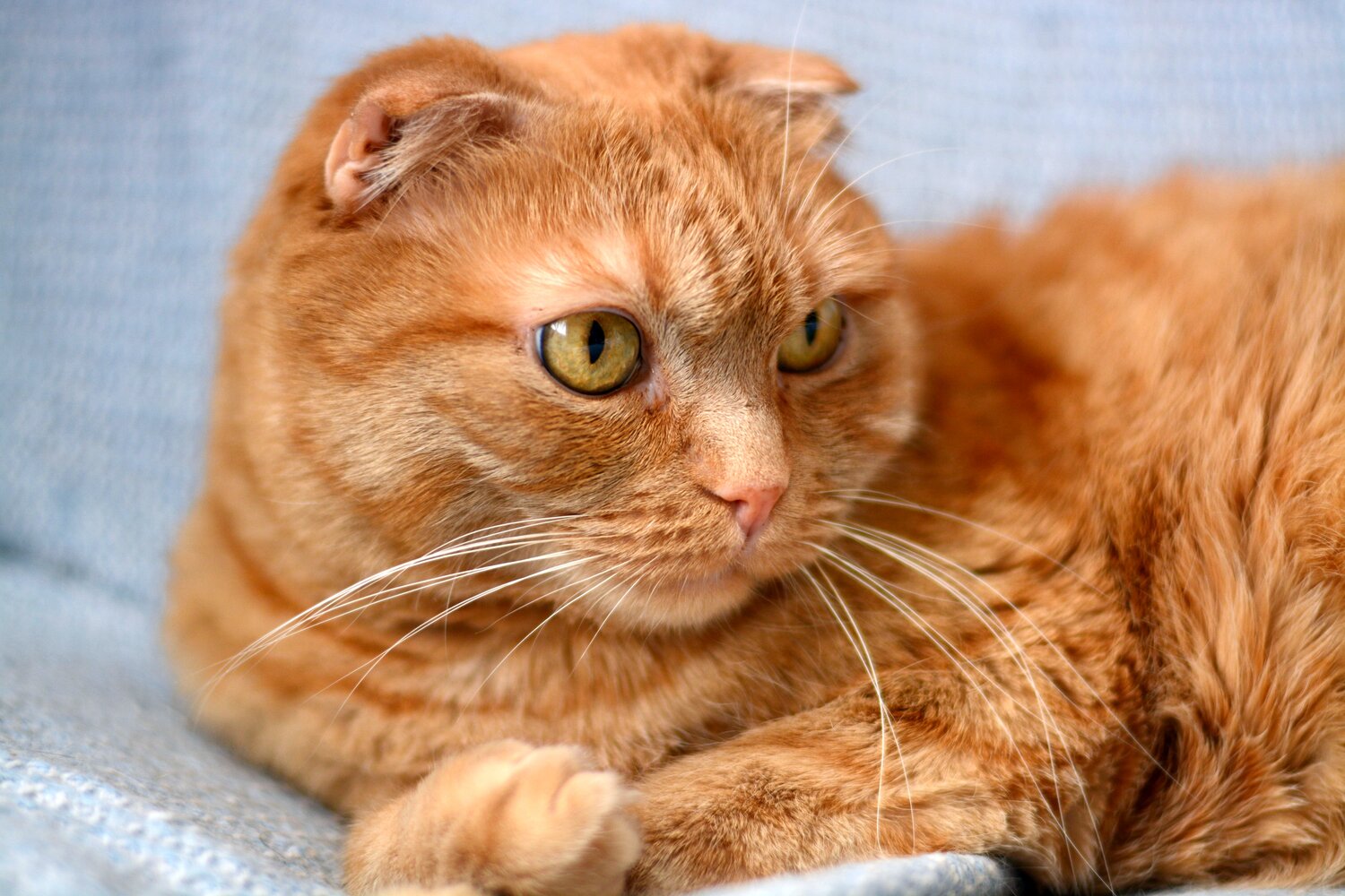 Photo #14057563