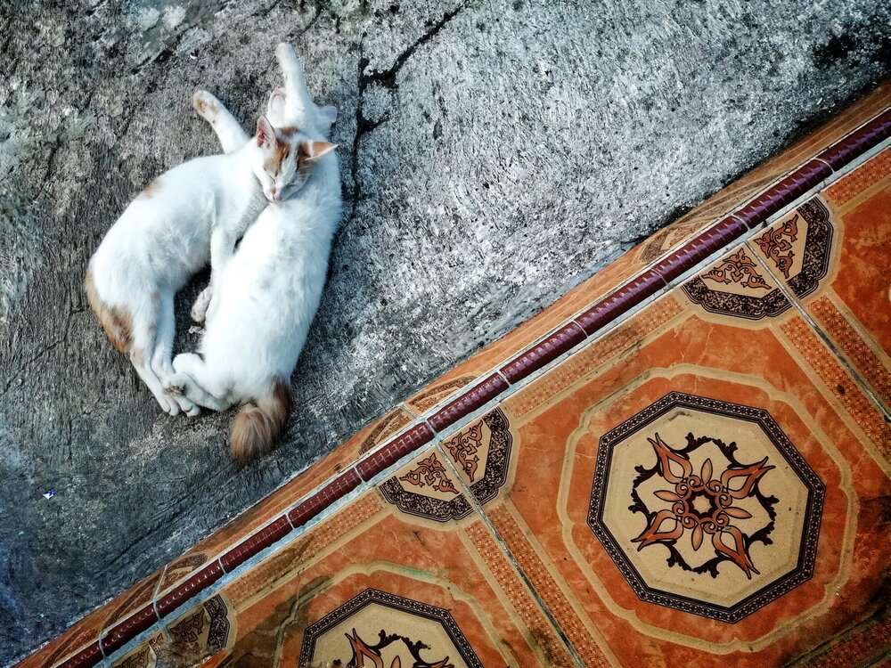 Photograph by Taufik Yusup Sukmana