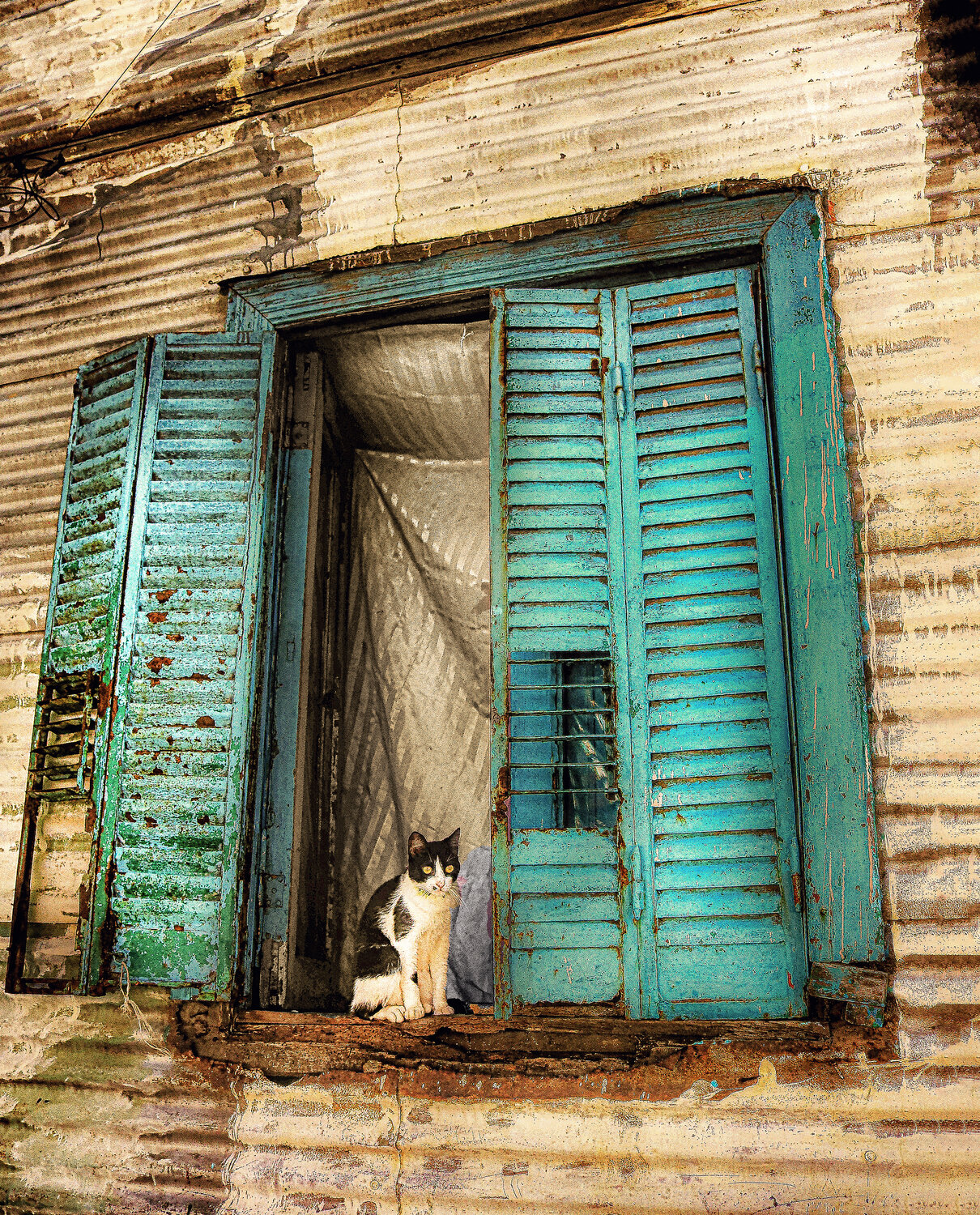 Photo #14057583