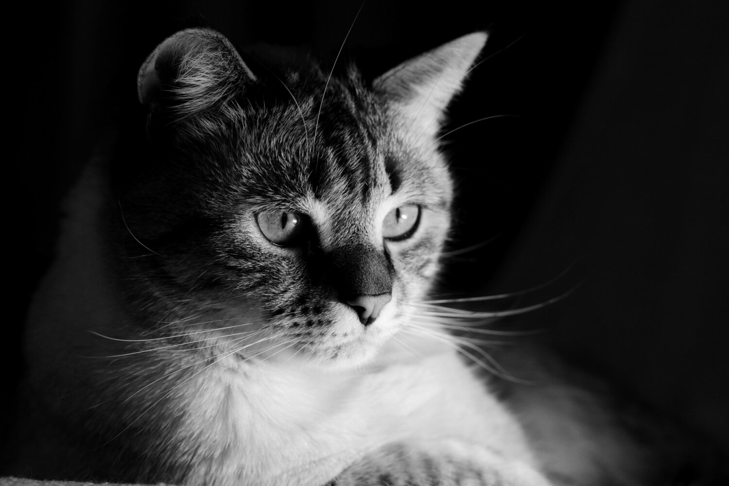 Photo #14057600