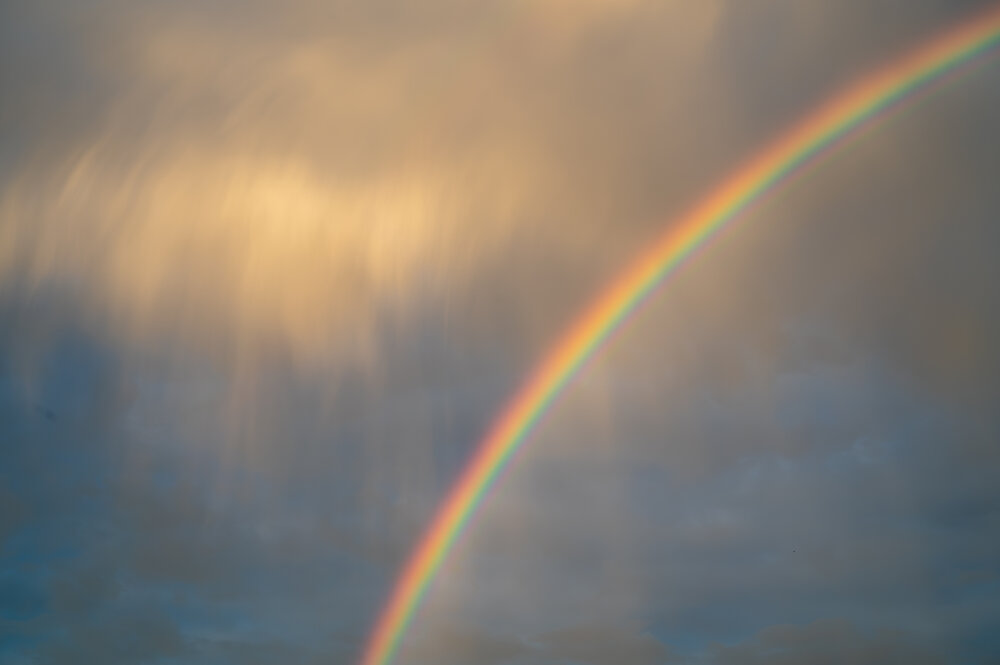 Photograph by KOSHI MASAKI