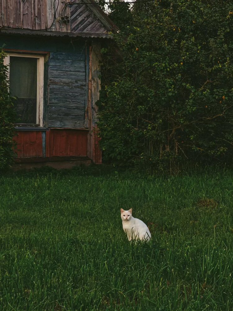 Photograph by Ирина Колдун