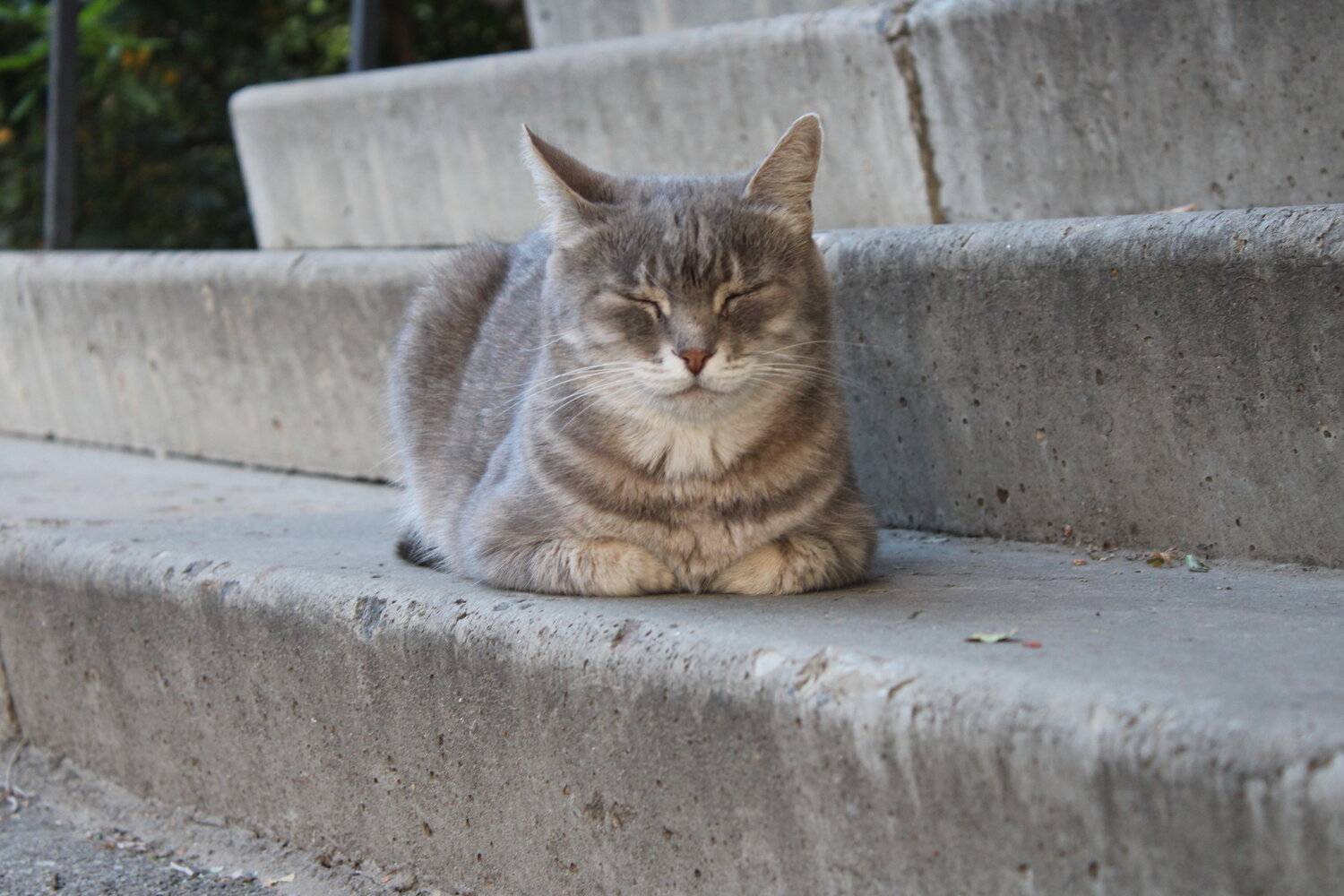 Photo #14057658