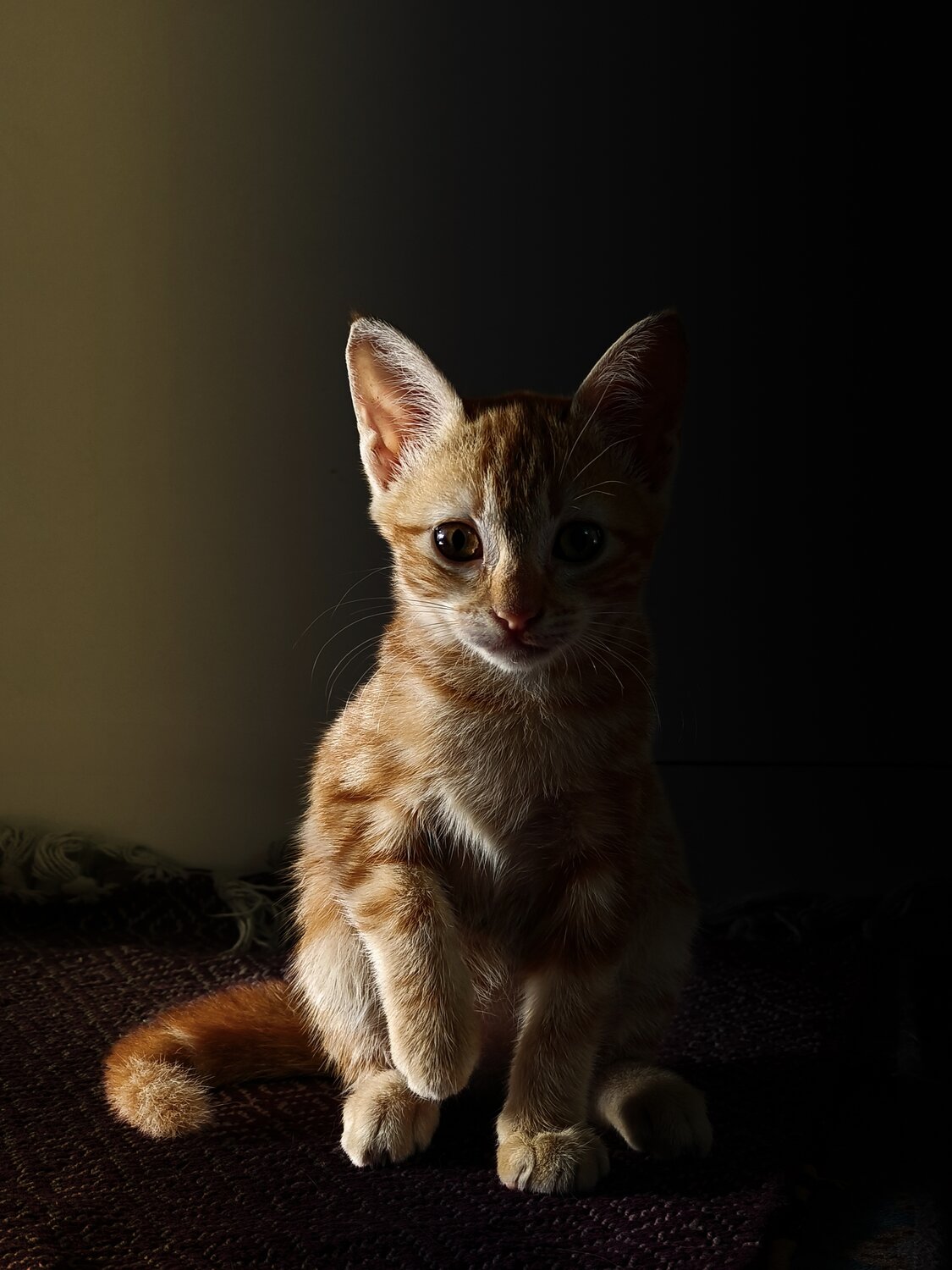 Photo #14057735