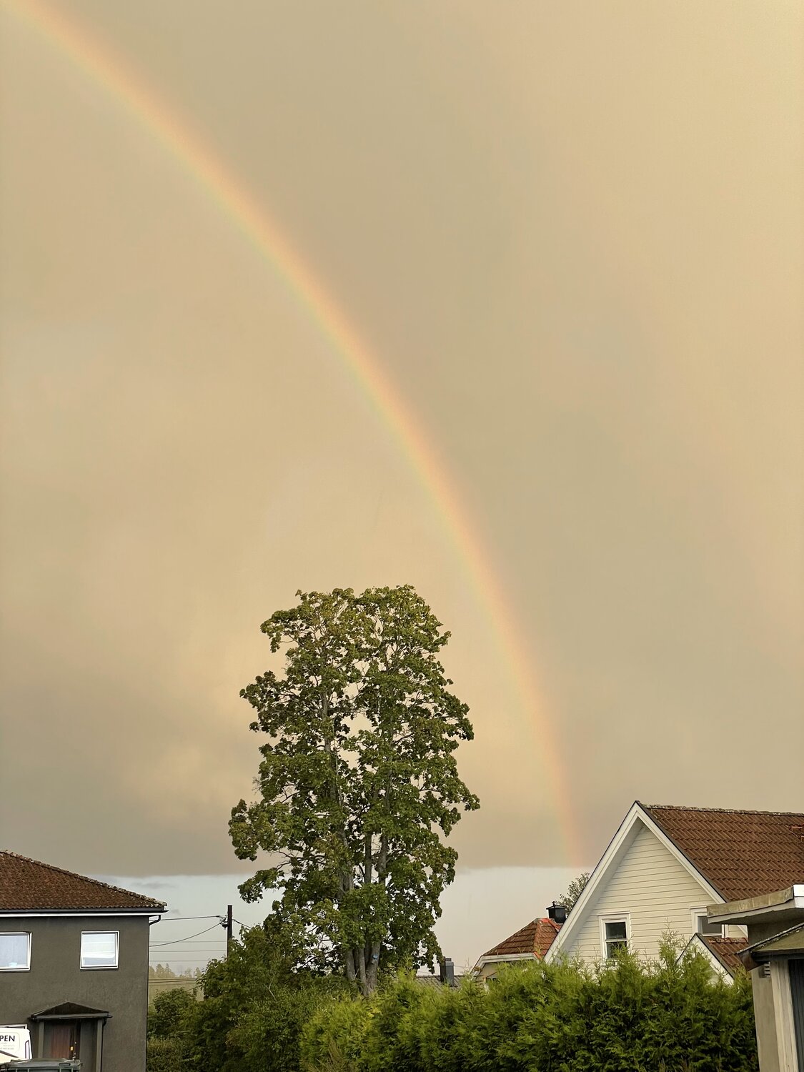 Photo #14057775