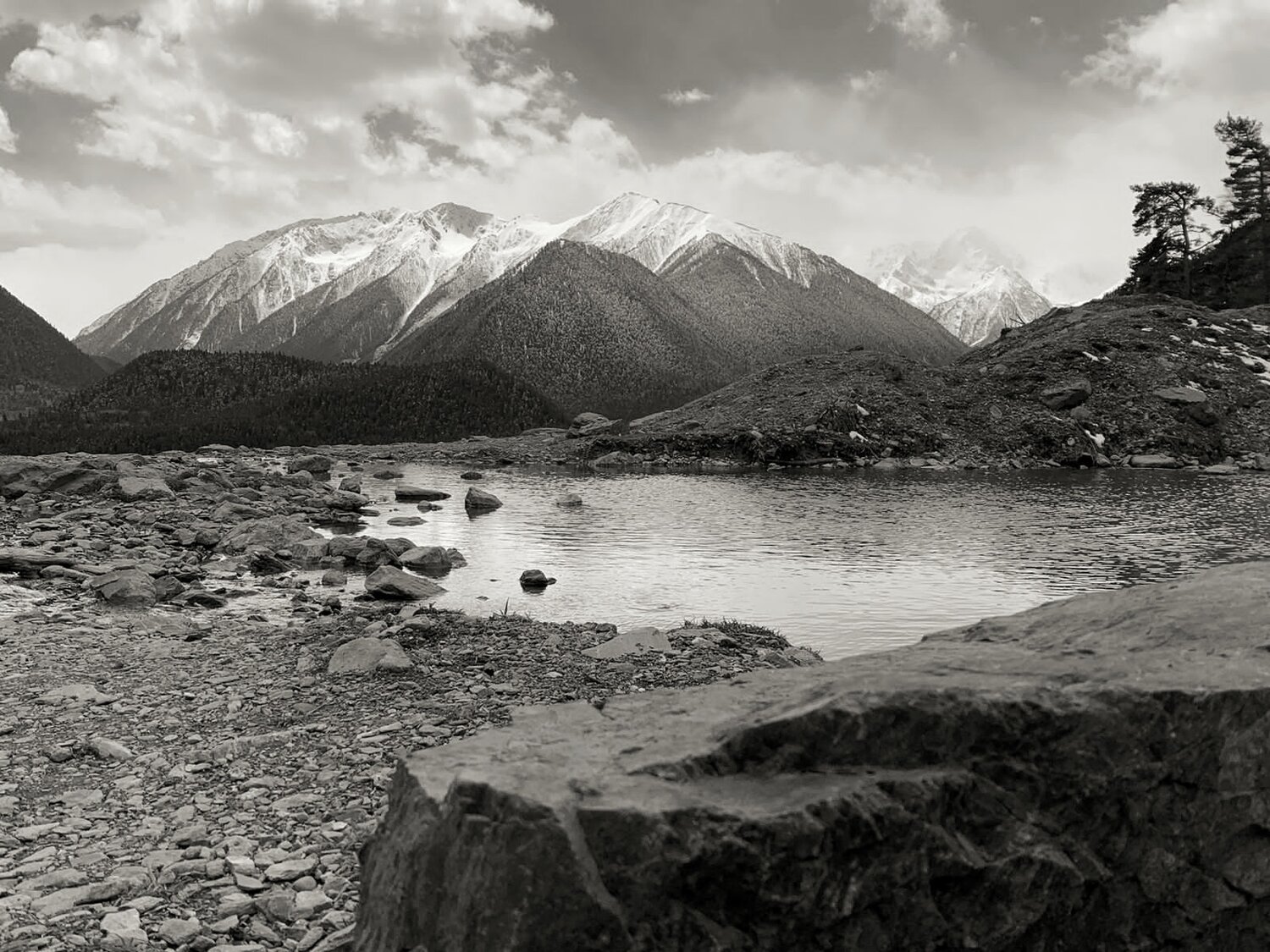 Photo #14057840