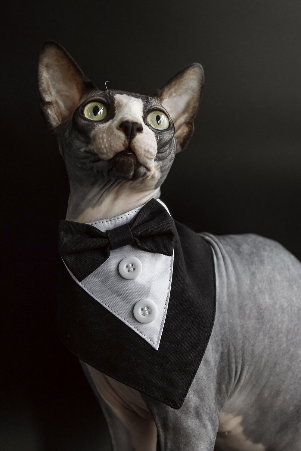 Photo #14057852
