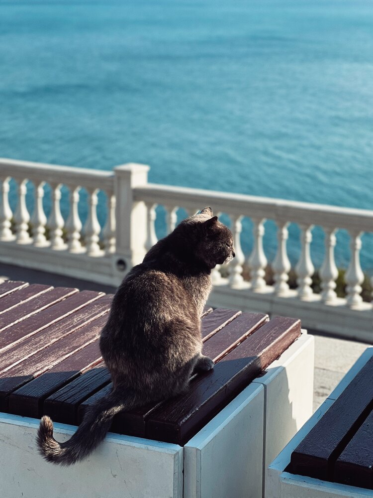 Photograph by Яна Сел