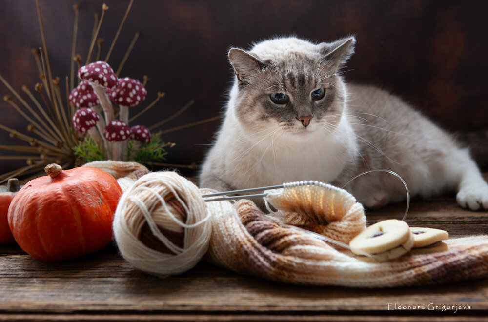 Photograph by Eleonora Grigorjeva
