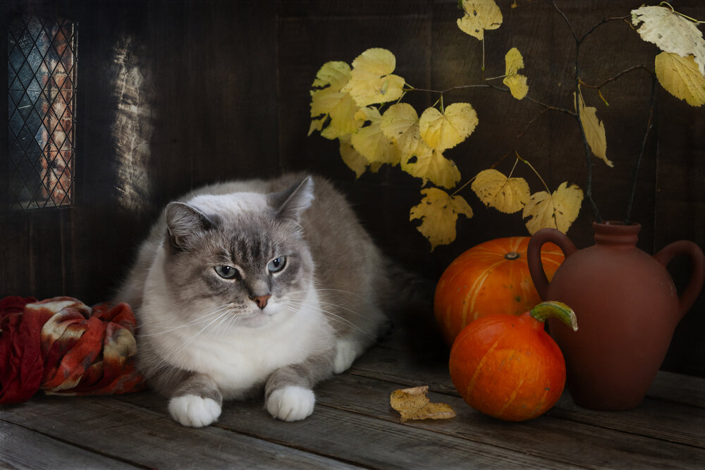 Photograph by Eleonora Grigorjeva