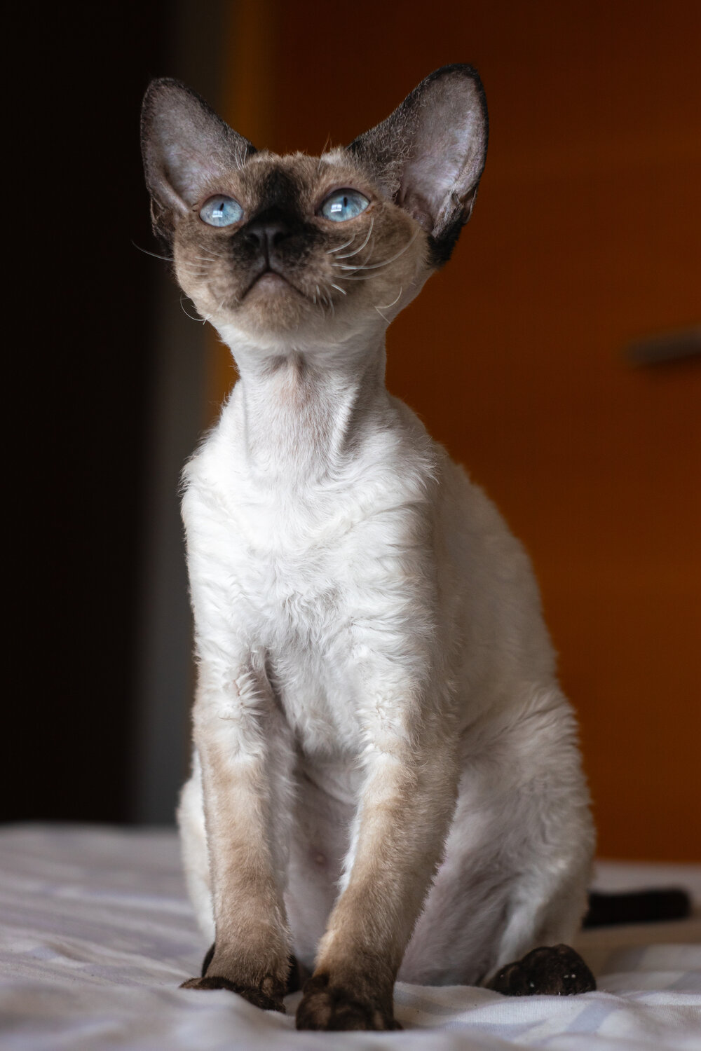 Photo #14057908