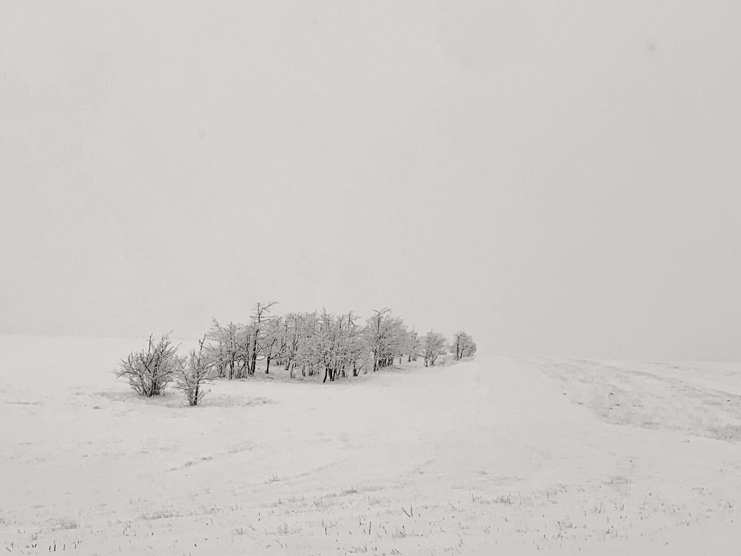 Photo #14057918