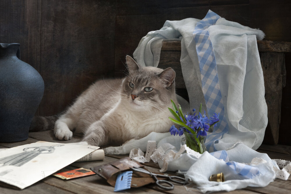 Photograph by Eleonora Grigorjeva