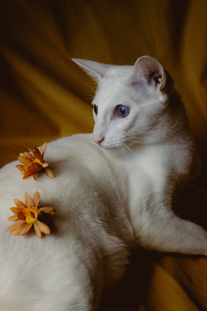 Photograph by Палкина Елена