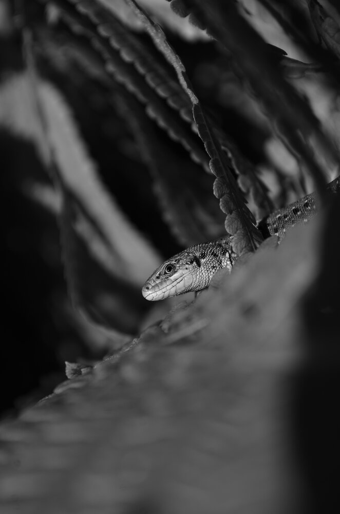 Photo #14057964
