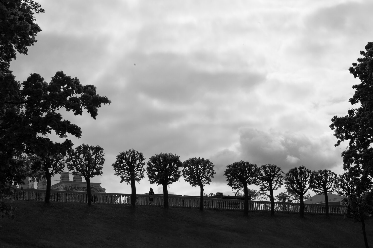 Photo #14057966