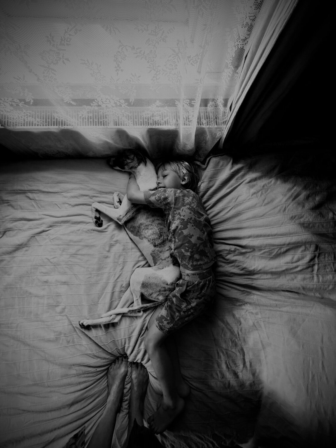 Photo #14057968
