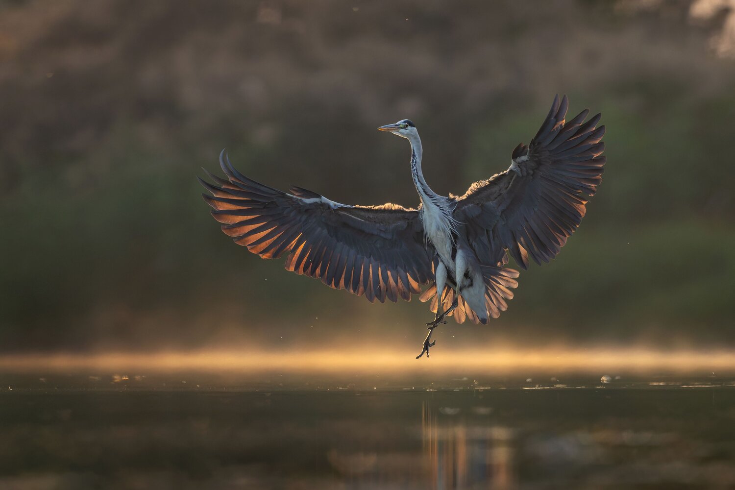 Landing.