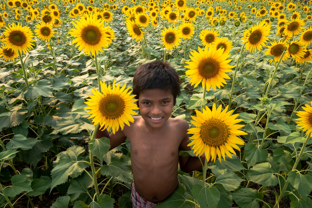 Фотография автора Saurabh Sirohiya