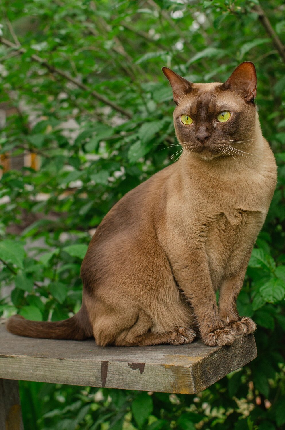 Photo #14058056