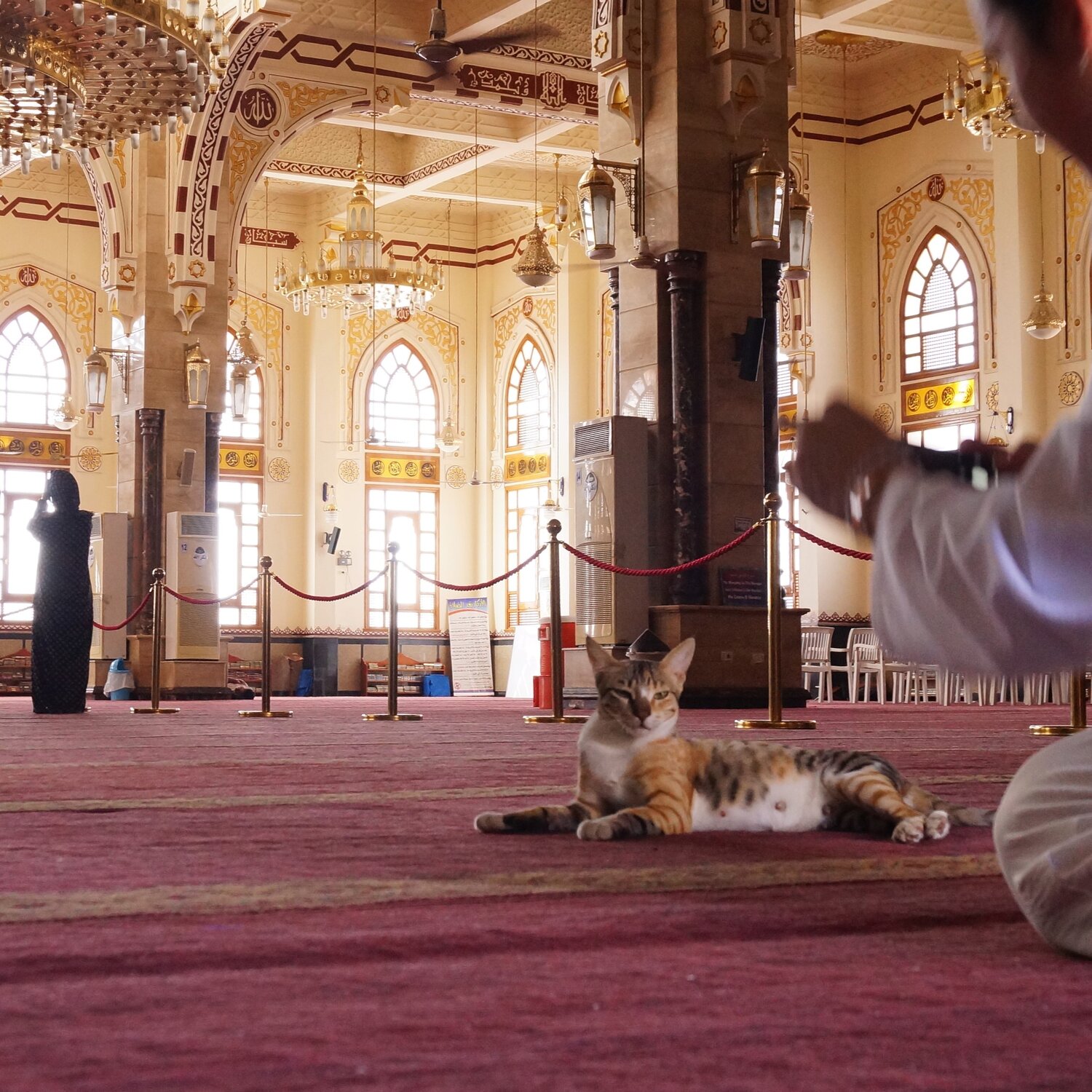 Photo #14058141