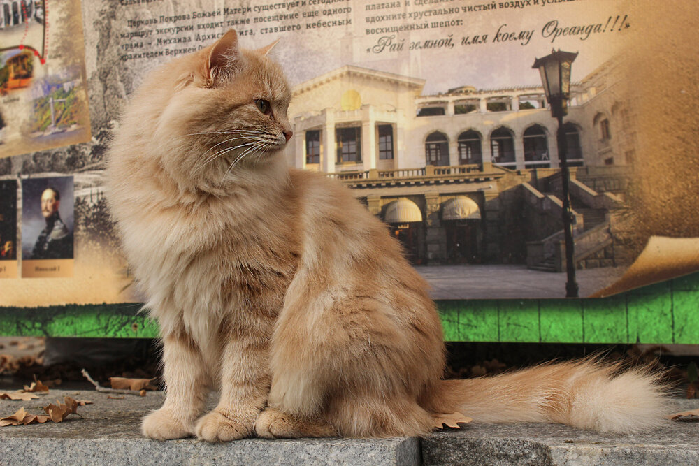 Photograph by Марина Иванова