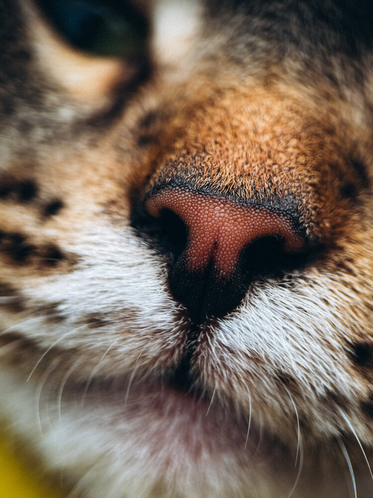 Photograph by Марина Харитонова