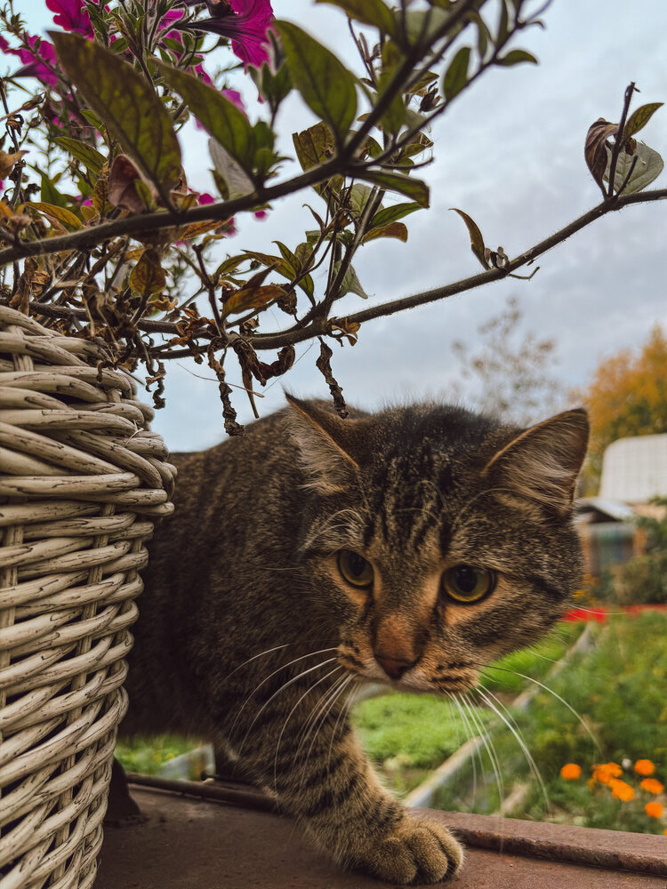 Photograph by Марина Харитонова