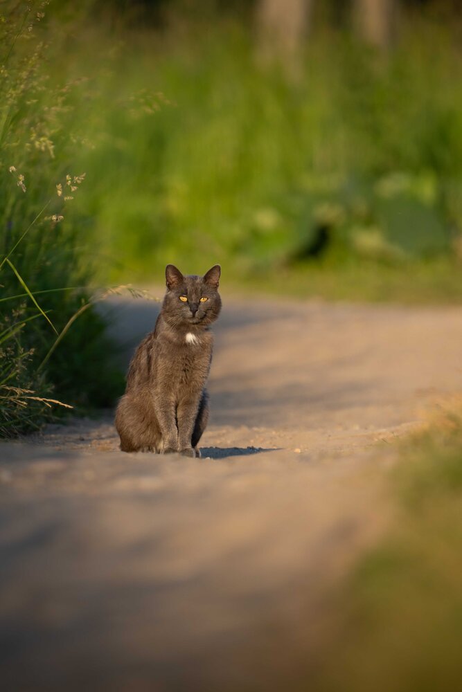 Photograph by Иван Калабушев