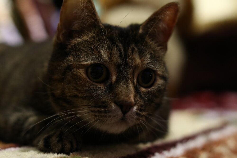 Photograph by Татьяна
