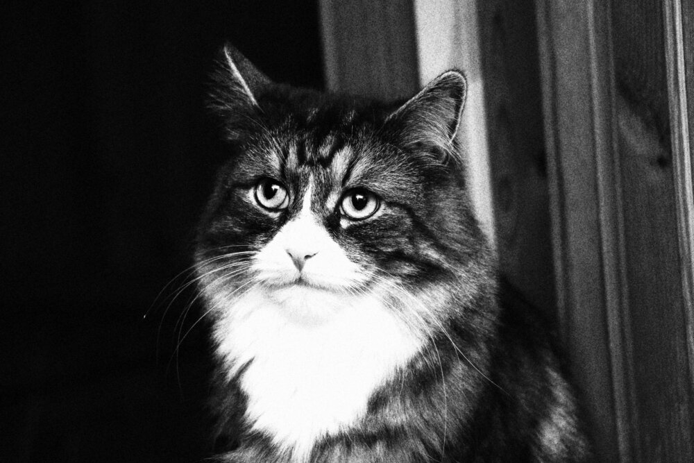 Photograph by Татьяна