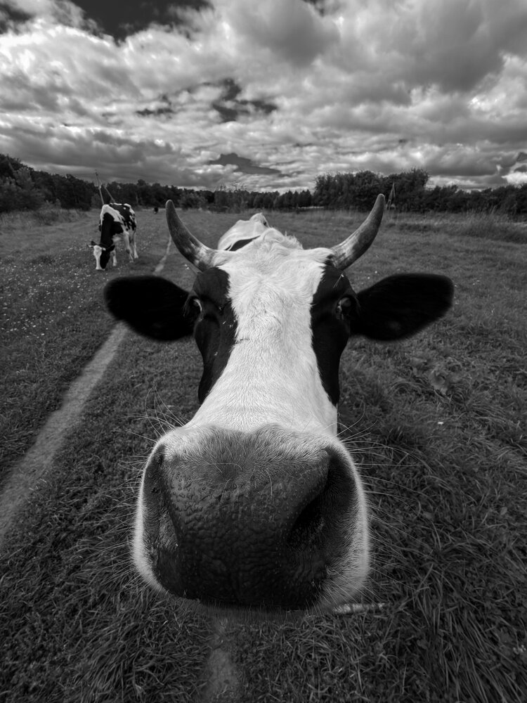 Photograph by Дмитрий Костяков