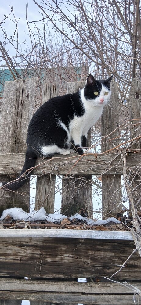 Photo #14058624