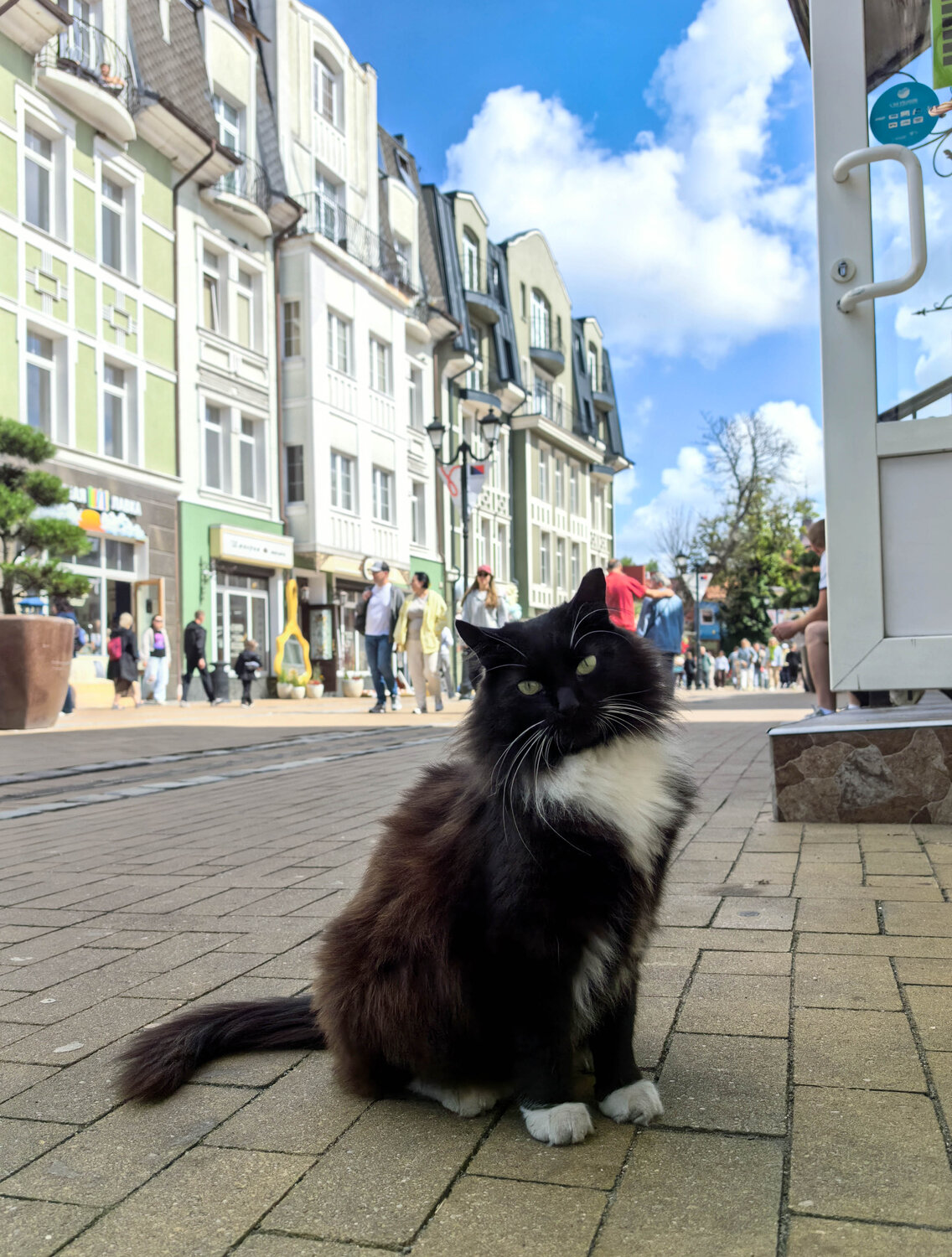 Photo #14058628