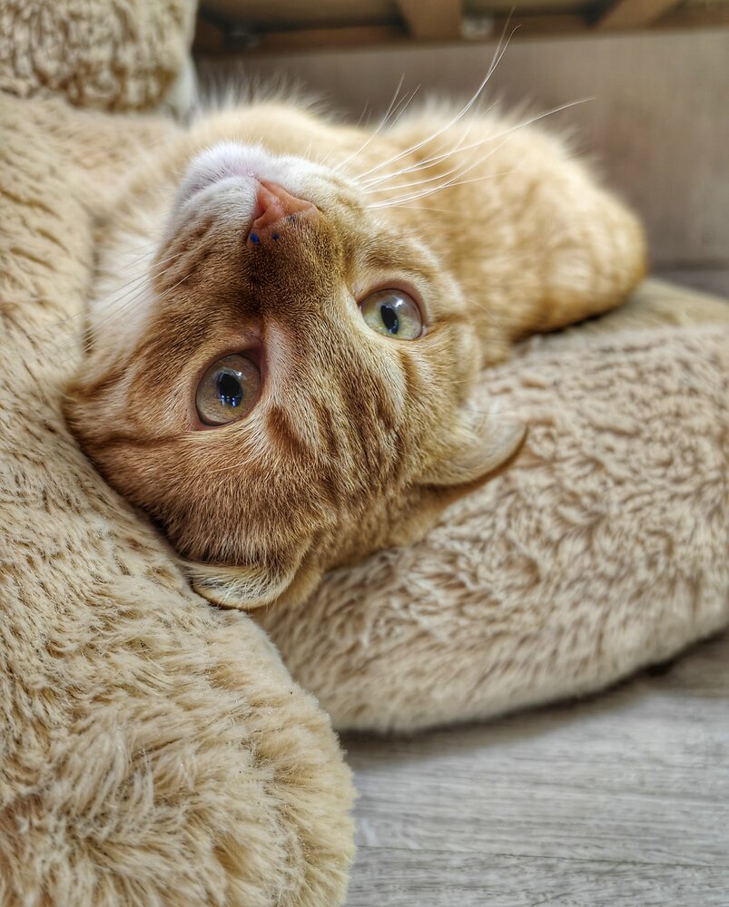 Photograph by Ульяна Кузьмина