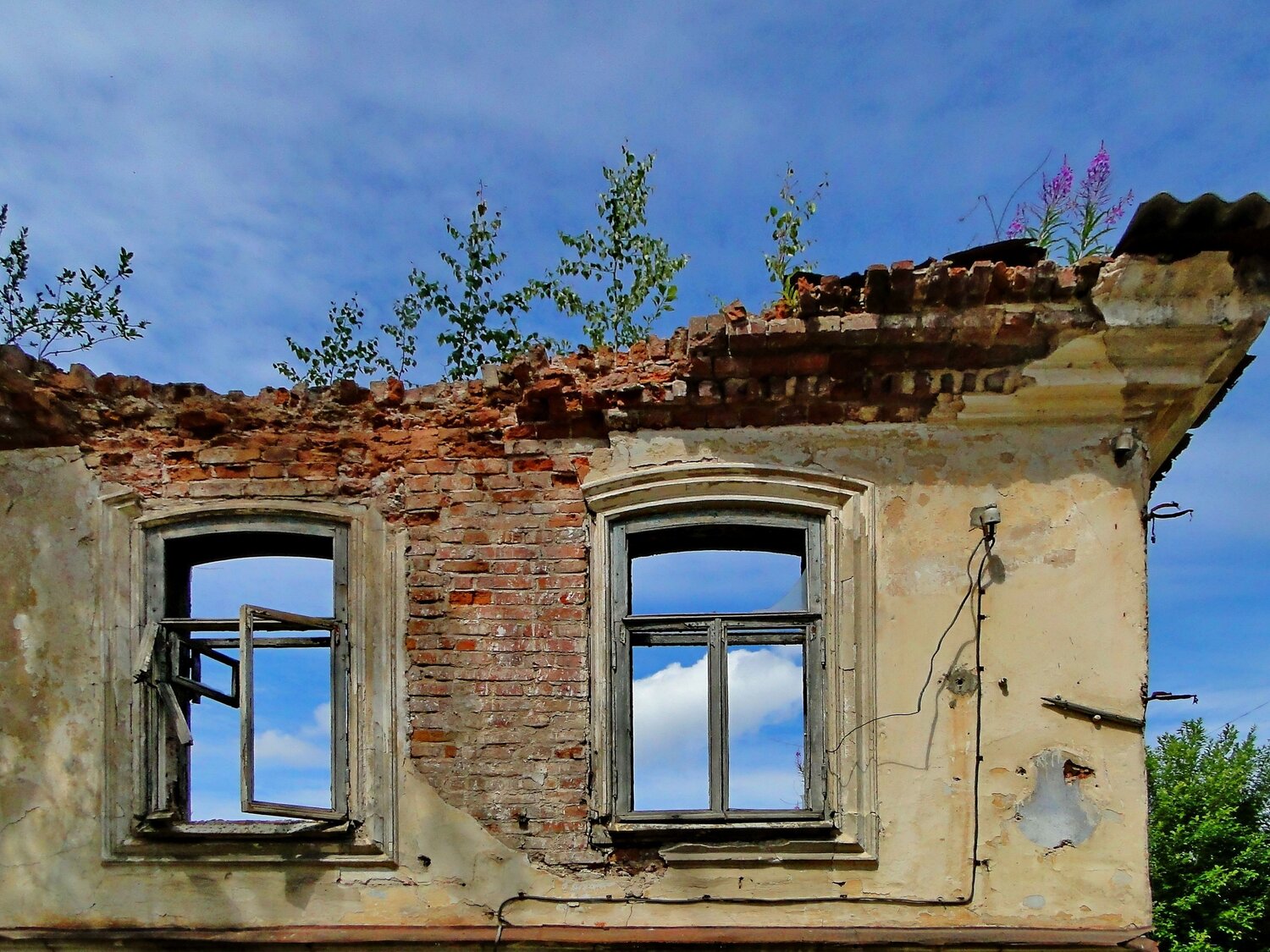 Photo #14058723