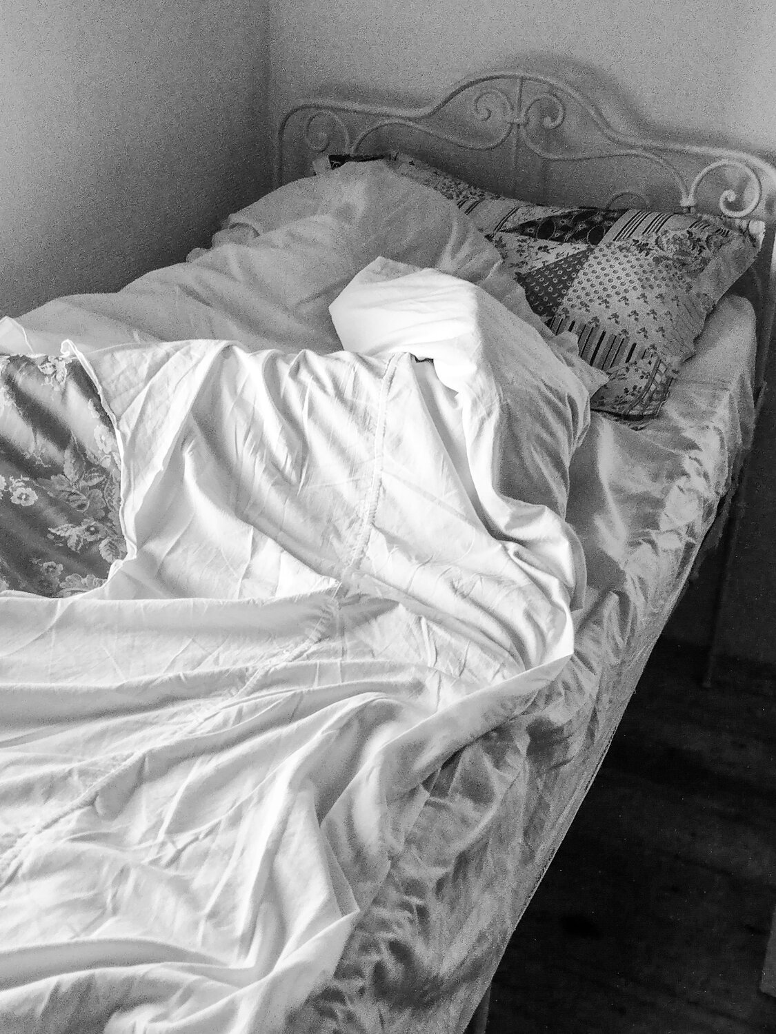Photo #14058749