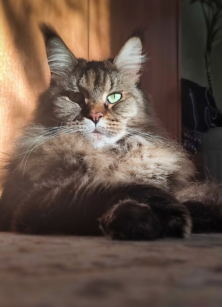 Photograph by Анастасия Дросу
