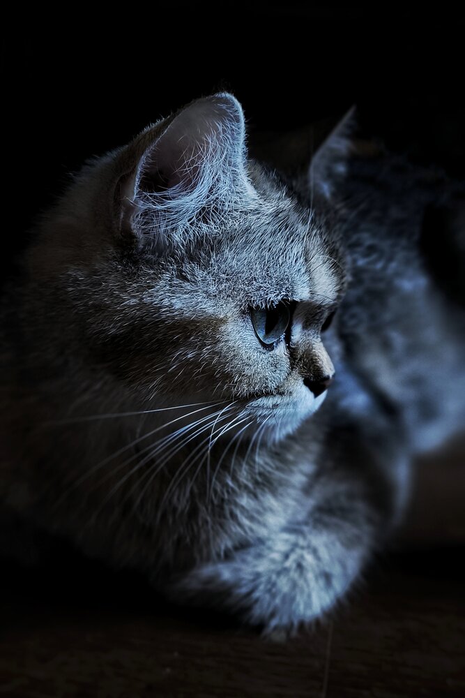 Photograph by Юлия Бурминская