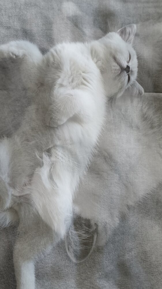 Photograph by Юлия Бурминская