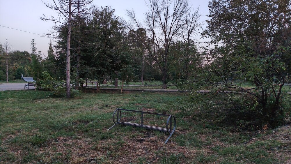 Photo #14058868