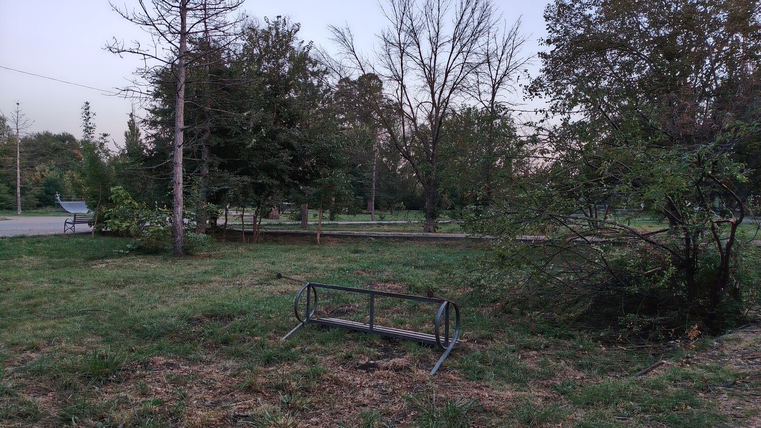 Photo #14058868