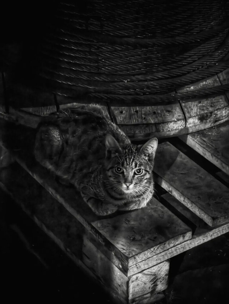Photograph by Anastasia Milyutina