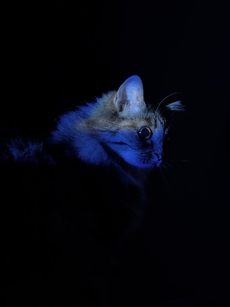 Photograph by Anastasia Milyutina